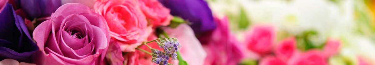 Samsun Lilyum Çiçekçilik menü resmi 10