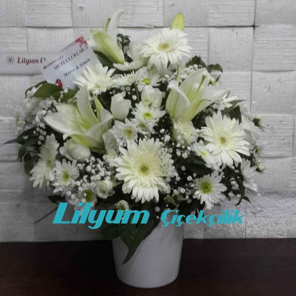 Seramikte Gerbera Lilyum Papatya Resim 1